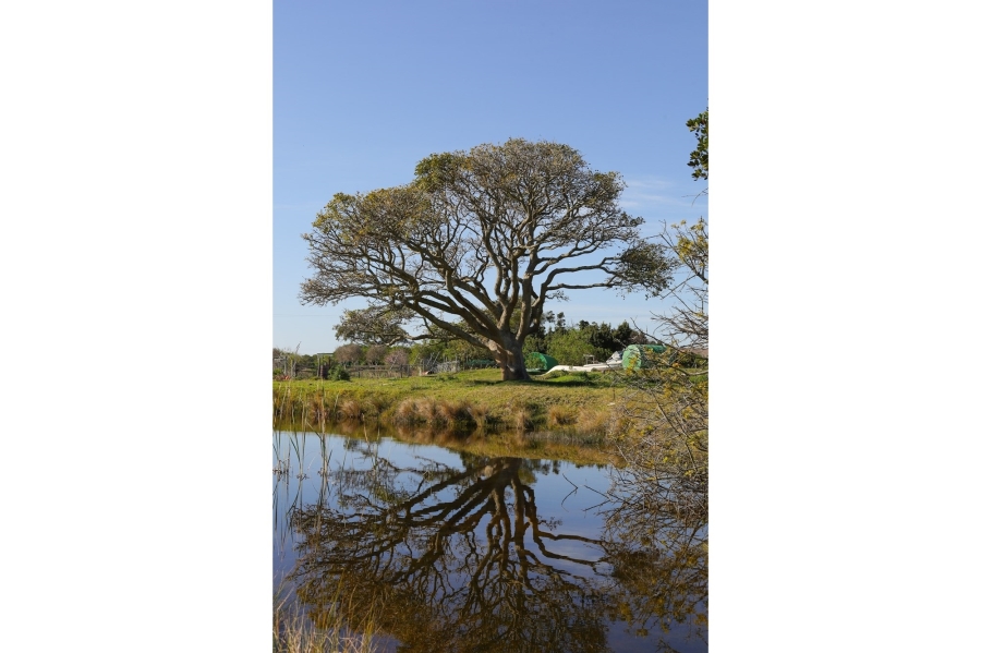 0 Bedroom Property for Sale in Kromme River Estate Eastern Cape